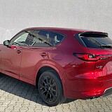 IMG_6878.JPG