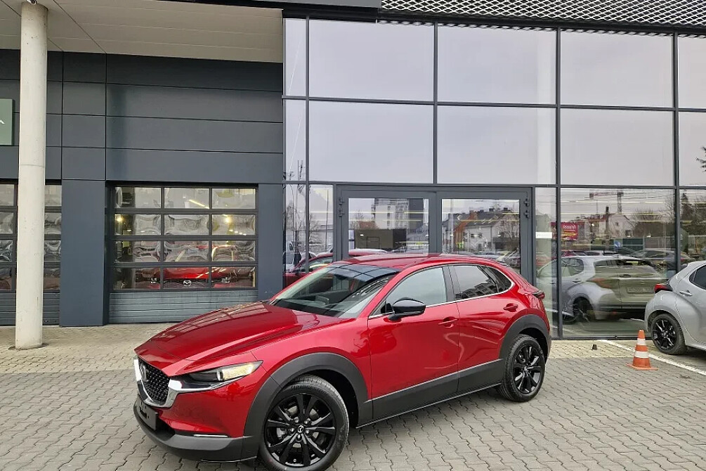 CX-30 3.jpeg