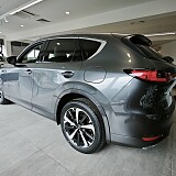 IMG_20250725_132958.jpg