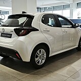 IMG_20250728_141717.jpg