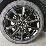 IMG_20250729_095410.jpg