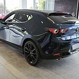 IMG_20250729_095241.jpg