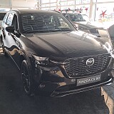 20250208_101048.jpg