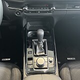 IMG_6064.jpeg