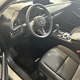 IMG_6062.jpeg