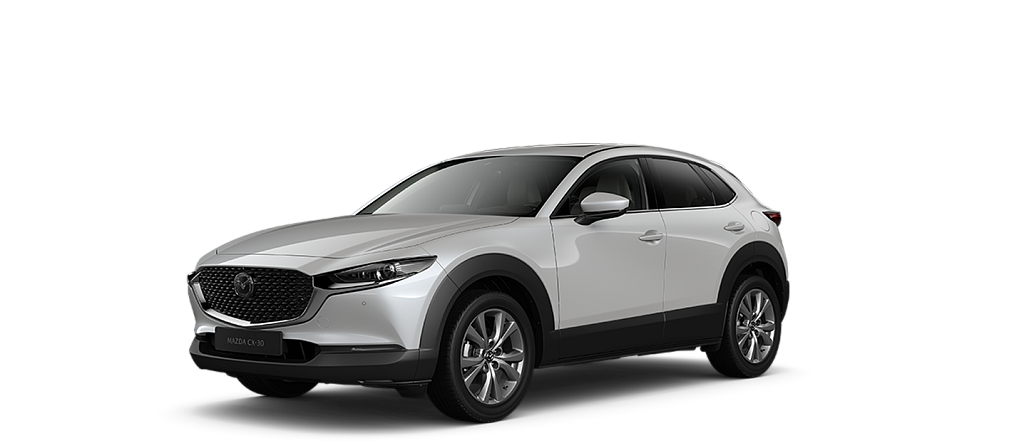 CX30 snowflake.png