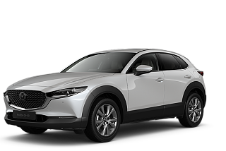 CX30 snowflake.png
