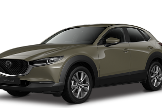 CX30 zircon.png