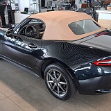 20250809_114744.jpg
