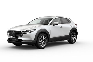 cx-30 snowflake.jpg
