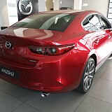 IMG_20250211_110833.jpg