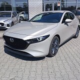 IMG_20240814_140705.jpg