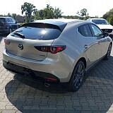 IMG_20240814_140717.jpg