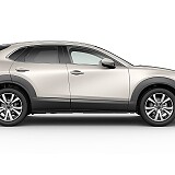 MAZDA CX-30 Exclusive-line_Platinum Quartz_602.jpg