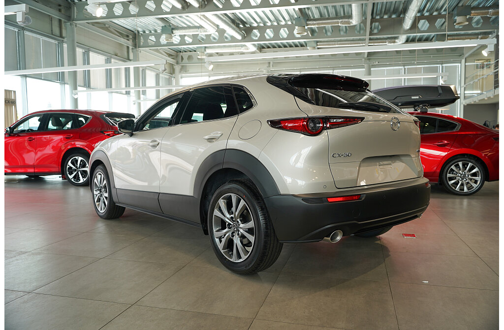 Mazda CX-30 - Kolor Platinum Quartz, zdjęcie 4